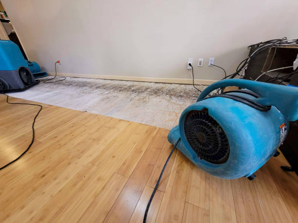 Professional Structural Drying technician working in Gaston, OR